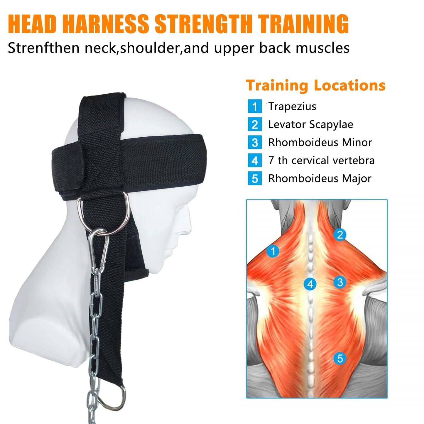 Head Harness Sports Neck Training Exerciser Strap Muscle Builder Home Gym for Strength Fitness Weight Lifting Workout Boxing MMA - Gym&Gadgets